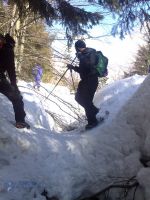 nordic_walking_01